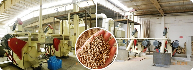 chicken starter feed mill plant setup low cost