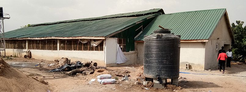 set up a small scale chicken farming factory in africa