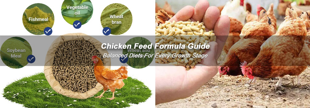 Buy Chicken Feed Formula, Low-Cost Feed Solutions, Poultry Feed Mixing By ABC Machinery