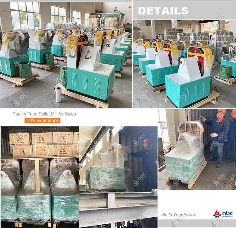 chicken feed making machine to Nigeria