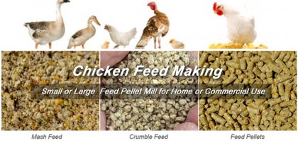 Mini/Small Chicken Feed Making Machine for Sales