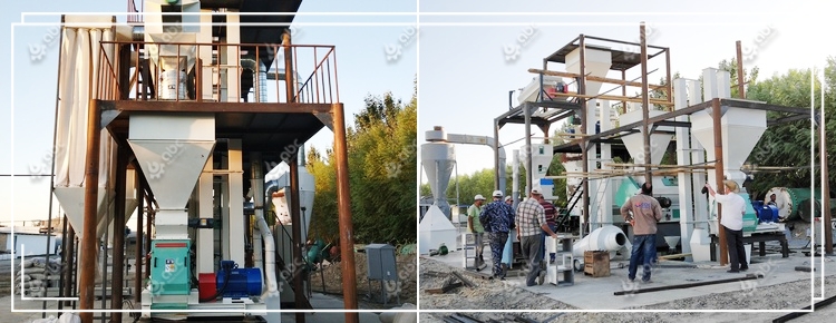 how to make chicken feed pellet for boiler 