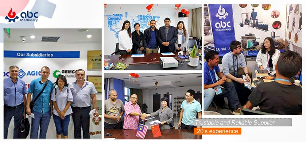 best maize processing plant cost