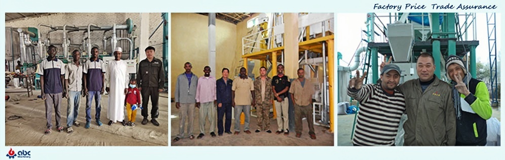 besr grain mill plant project supplier at low cost