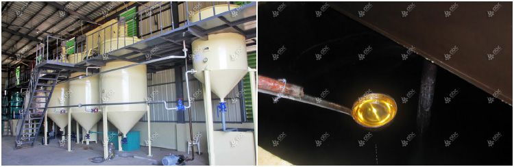 coconut oil refining plant cost