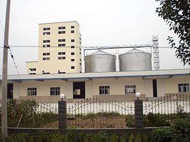 600,000 ton/year Poultry Feed Equipment Line