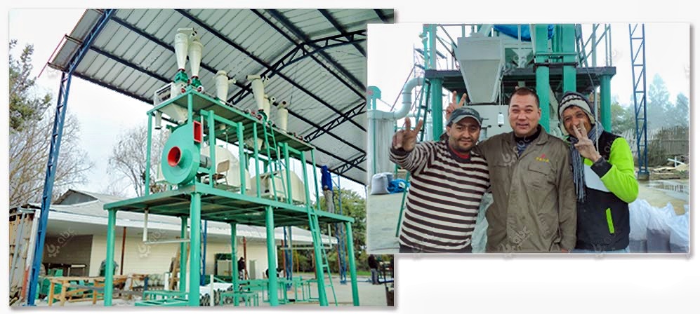 how to buy best complete wheat flour mill machine in Egypt