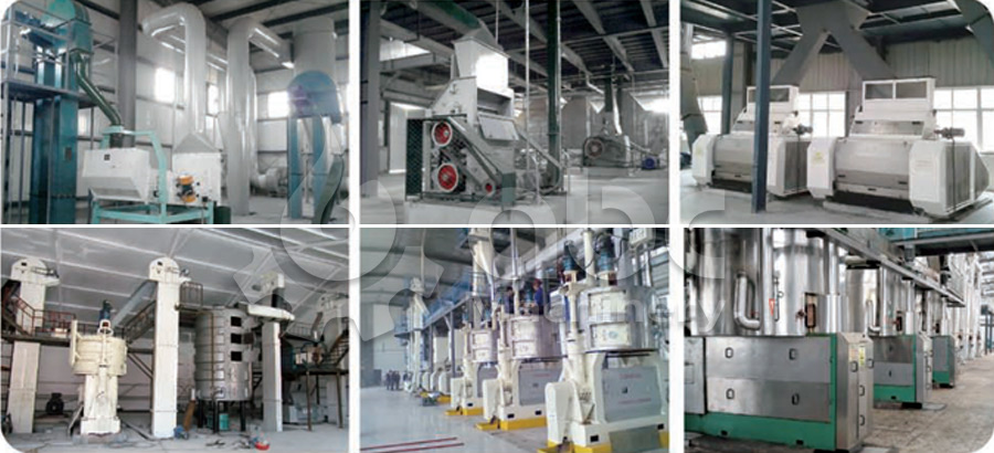 Edible Oil Processing Line cost