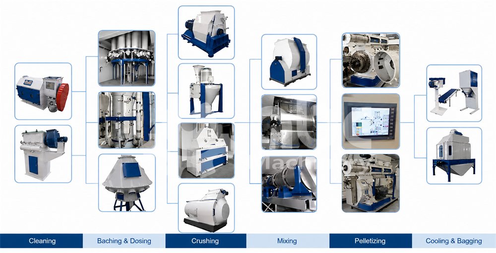 Complete Poultry Feed Manufacturing Equipment for your Commerical Business