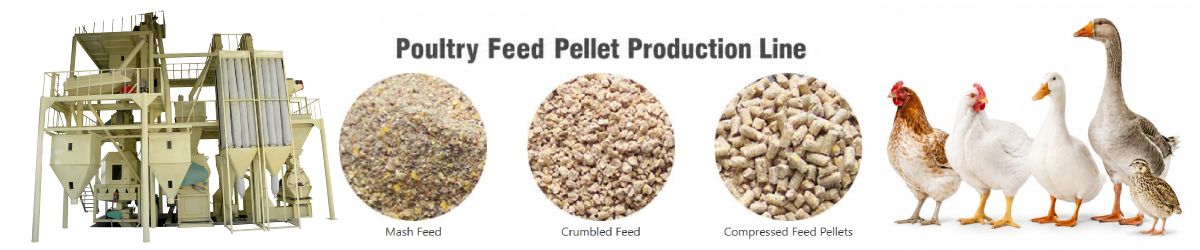 Poultry Feed Pellet Production Line Complete Plant