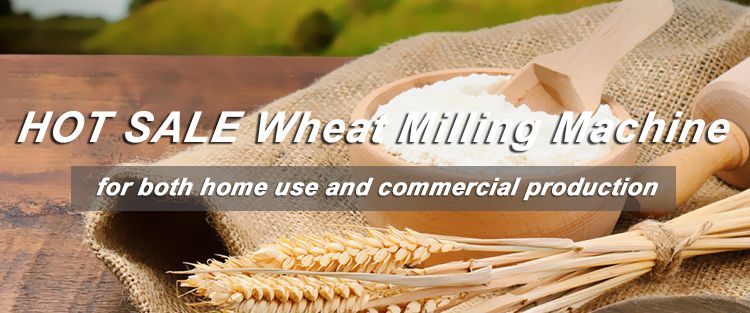 complete wheat flour milling machine business