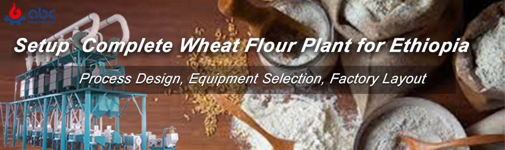 choose  best wheat flour plant in ehtiopia at lowest cost