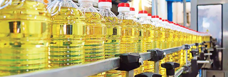 cooking oil manufacturing business plan pdf