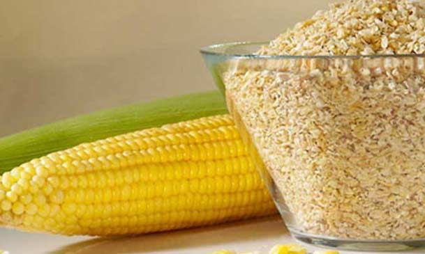 corn germ for corn oil production