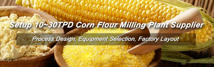 Corn Milling Business