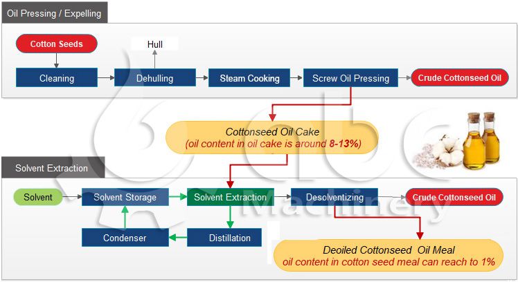 cotton oil prepressing solvent extraction process