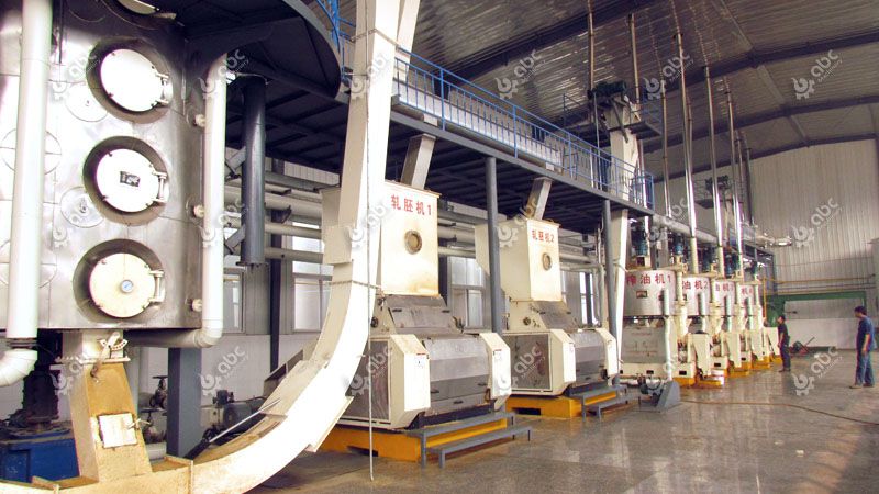 cottonseed oil expeller machine