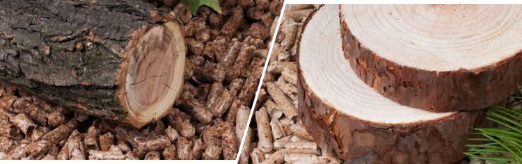 difference between hardwood and softwood