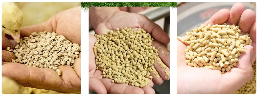 chicken feed pellet mill