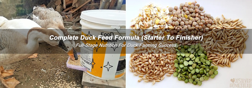 Duck Feed Formula, Cost-Effective Feed Recipes, Buy Duck Feed Equipment, ABC Machinery