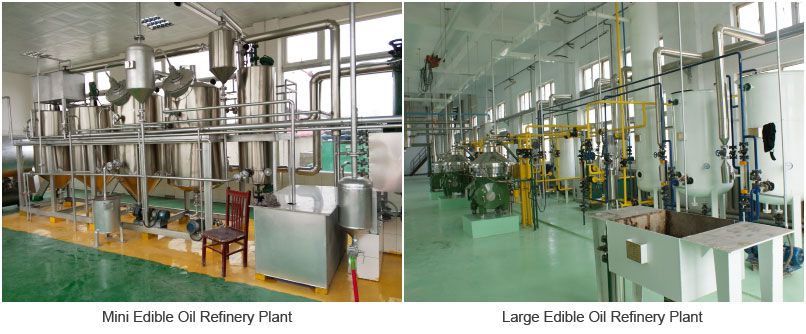 edible corn oil refinery plant