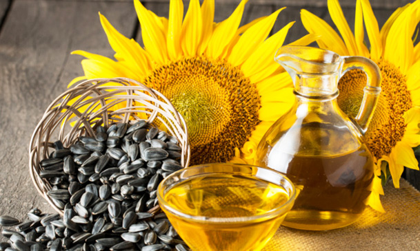 sunflower oil refining business