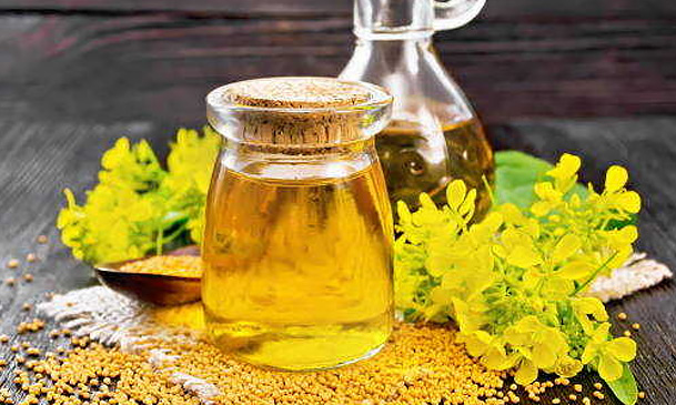 canola oil refining business
