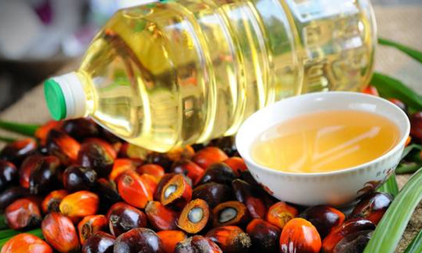 edible oil refining plant for palm oil business