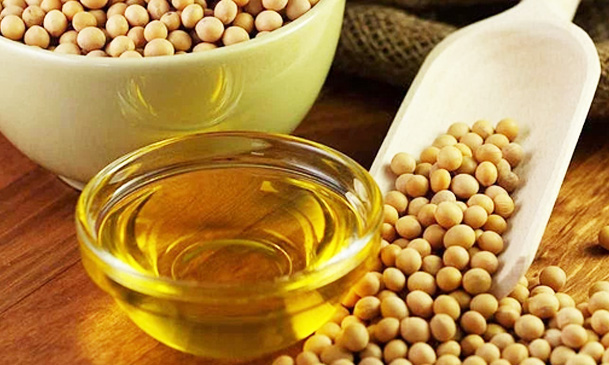 edible oil refining business for soybean oil production