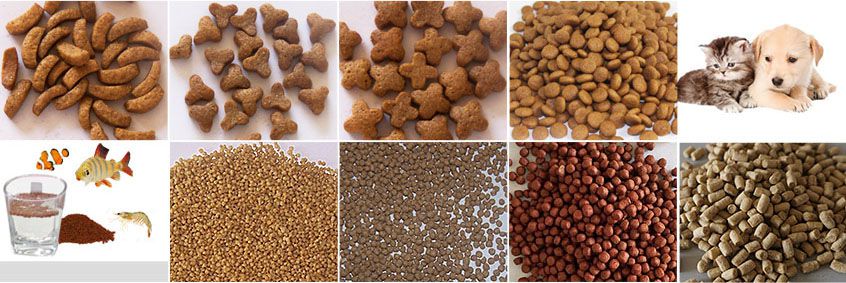 make expanded fish feed pellets