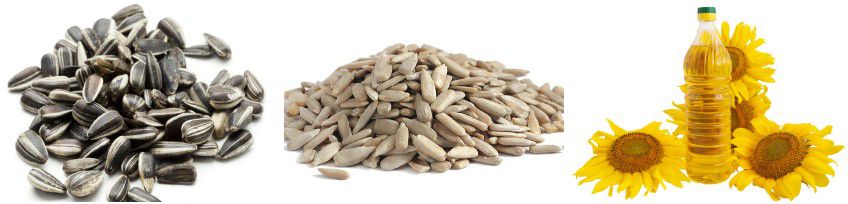 extract sunflower oil with oil extracting machine