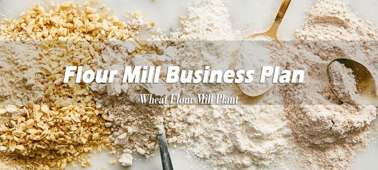 flour mill business plan