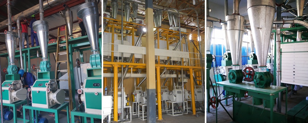 best flour mill plant project low cost
