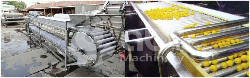 fruit sorting machine for plantain flour milling process