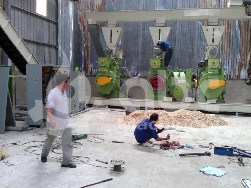 biomass fuel pellet manufacturing line in large scale