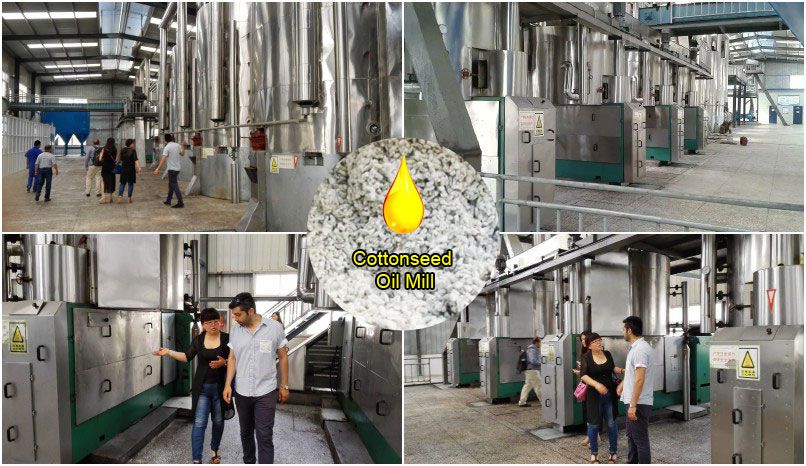 full scale seed oil extraction plant