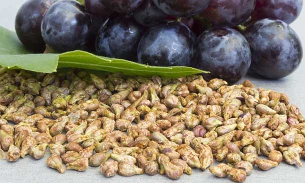 groundnut seeds for oil pressing