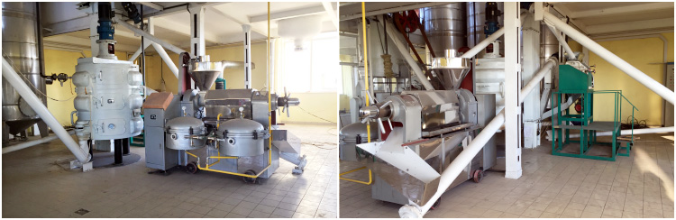 groundnut oil extraction machine