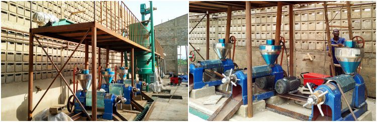 groundnut oil press machine for edible oil plant