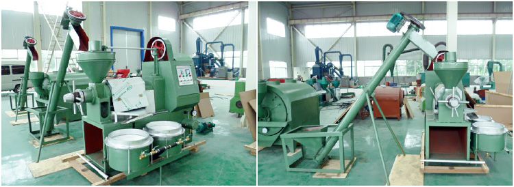 small sized groundnut oil production machine for mini business plan
