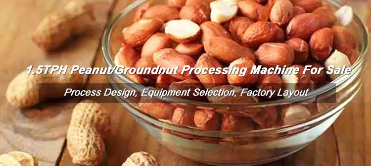 Groundnut Peanut Processing