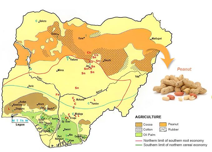 groundnut planting in Nigeria
