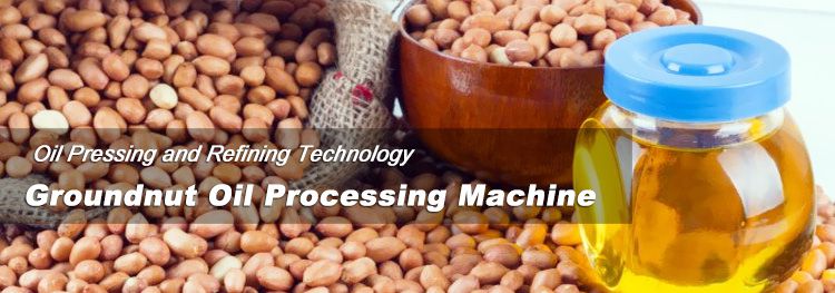 groundnut processing business