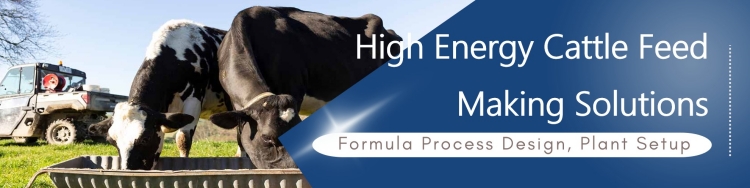 energy feed making process technology