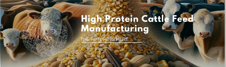 cattle feed making business plan