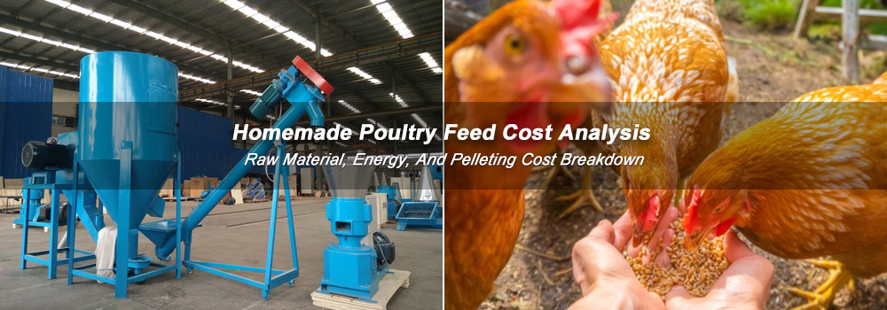 Reduce Poultry Feed Cost, DIY Feed Formulas, Low-Price Feed Processing Equipment