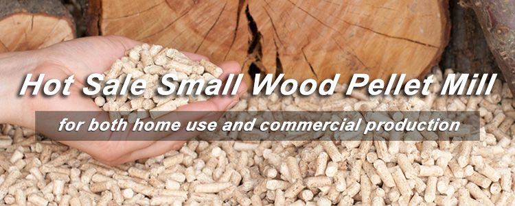 Hot Sale Small Wood Pellet Mill