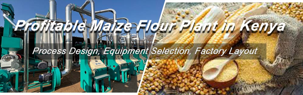 best maize flour mill plant in kenya