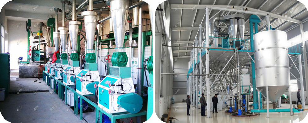different type of wheat flour mill machine cost