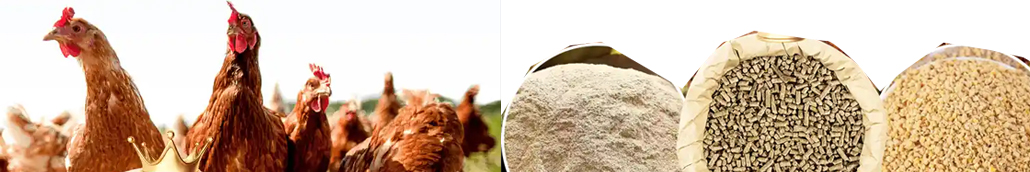 Complete Poultry Feed Formulation Guide